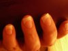 doigts.JPG