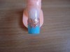 DSC05481.jpg