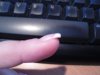 SDC10275.jpg