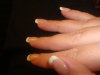 DSC00614.jpg