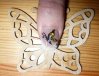 papilllon 2.jpg