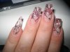 gel2009 010.jpg