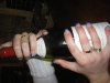 mes images 506.jpg