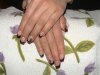 DSC00312.jpg