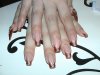 DSC00341.jpg