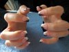 100_2401.jpg