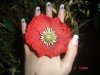 DSC04679.JPG