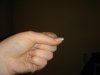 DSC08955.jpg