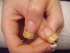 2009_0106posenouvelle0006.jpg