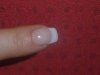 P1020905_PhotoRedukto.jpg