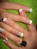 DSC02288.jpg