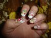 DSC03110.jpg