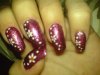 DSC01104.jpg