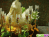 9f5ca791bc20b484b7c4cb10400a4304.gif