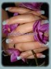 DSC05438.JPG