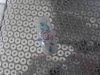 SDC10708 - Copie.jpg