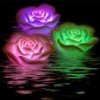 IX4RCAORR4X8CAU6OXD5CAQP03BQCACL2QCPCASV6AK5CADZCGZ1CA0SPC5OCAYYMU79CAI1DKH8CAOP12TXCAD3ZR2ACABJ.jpg