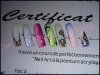 cours nails art 038 site.jpg