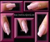 blog1 rose du 12 03 09.jpg