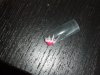 DSCF3223.jpg