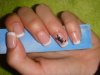 DSC01422.jpg