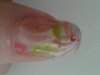 DSC00750.JPG