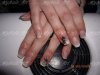 tracy1.jpg