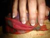 ongle maman 010.jpg