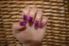 IMGP1407.jpg