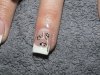 DSC00358.jpg
