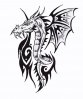 tatoo dragon.jpg