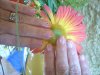 DSCN2719.jpg