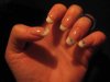 IMG_0029.jpg