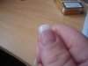 DSC02460.jpg