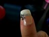 100_0526.JPG