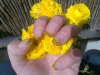 17042009029.jpg