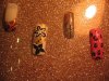 IMG_0054.jpg