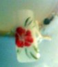 IMG001402.jpg