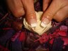 DSC02474.jpg
