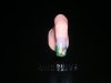 DSCN0373.jpg
