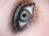 yeux vert 1.jpg