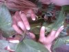 SP_A0853.jpg