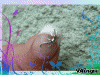 2429625471_1[1].gif