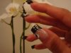 DSC02865.JPG