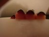 DSC02869.JPG