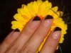 DSC01635.jpg