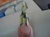 DSC02994.jpg