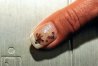 Fan ongle mai_007.jpg