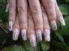 DSC02219.jpg