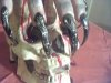 Pic-20090424-003.jpg